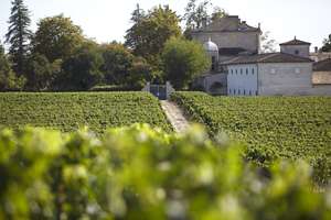 Figeac Bordeaux vineyards