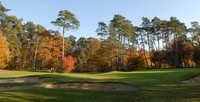 Fontainebleau Golf