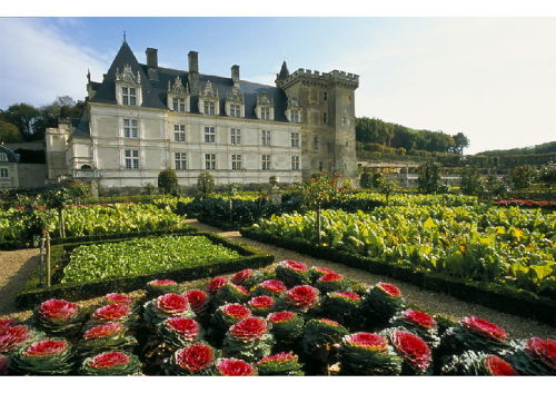 Villandry Castle Loire Valley France