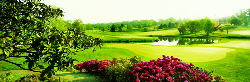 Cely Golf Course Barbizon Paris France