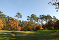 Fontainebleau Golf  high