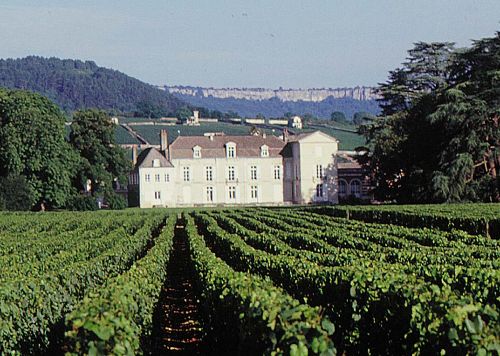 Meursault castle & vineyard Burgundy